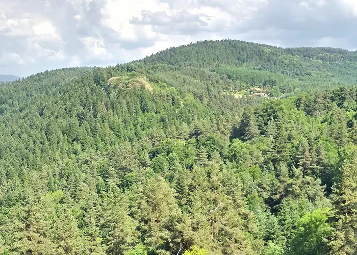 L'envol Des Papillons * Lafarre (Haute-Loire)